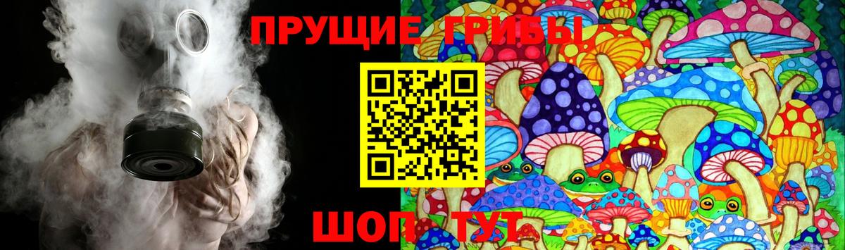Томск  Псилоцибиновые грибы ЛСД  Вход с VPN 